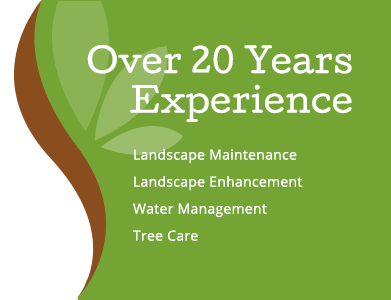 Over 20 Years Experience