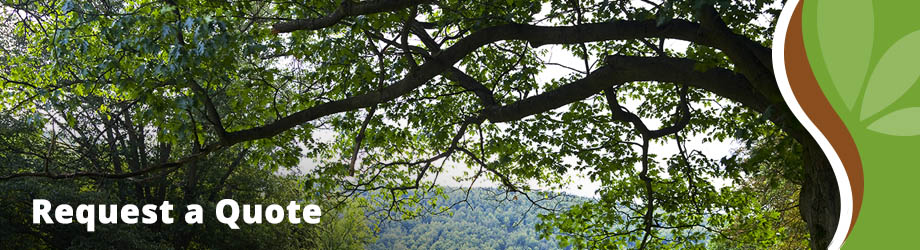 Showscapes Request a Quote
