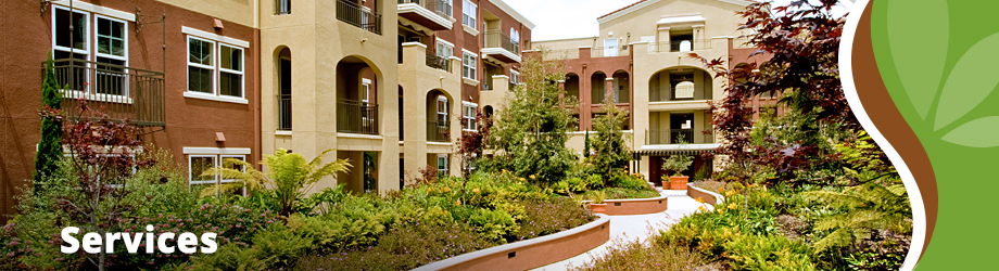 Showscapes Services